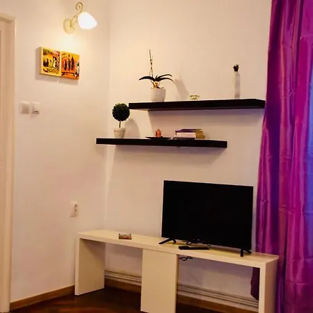 Apartment Centru Castelului *
